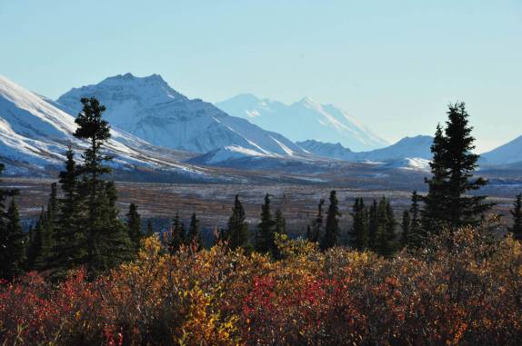A primeira visão do Denali, a mais alta montanha da América do Norte, no Denali National Park, no Alaska